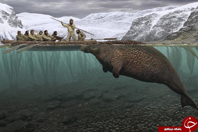 کشف لاشه ۵ متری یک جانور دریایی عجیب در روسیه+ تصاویر
