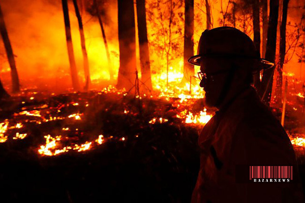 ۴۸۰ میلیون حیوان از بین رفته اند / برآورد ۷۰ میلیارد دلاری خسارت آتش سوزی در استرالیا