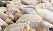 رئیس سازمان دامپزشکی کشور گفت: عرضه مرغ کشتارگاه‌های رتبه بندی شده B، A....