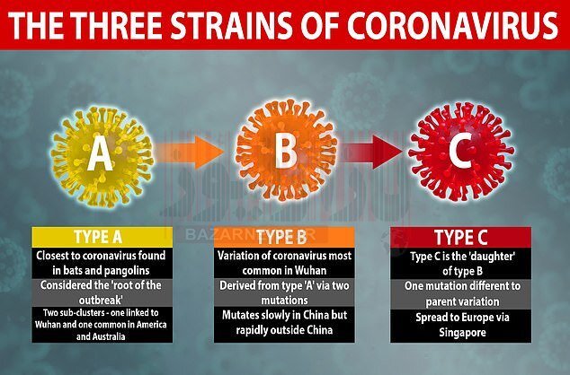 شناسایی ۳ گونه‌ مختلف ویروس کرونا