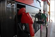 رد ادعای بنزینی یک نماینده/ بیگی نژاد: درباره گرانی بنزین هیچ صحبتی در مجلس نشده است