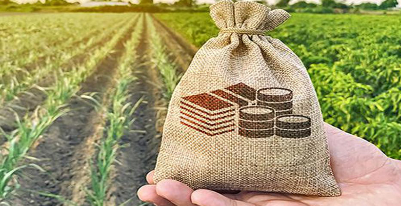 تجارت خارجی بخش کشاورزی و غذای کشور در نه ماه نخست سال 1402+نمودار