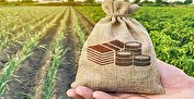 تجارت خارجی بخش کشاورزی و غذای کشور در نه ماه نخست سال 1402+نمودار