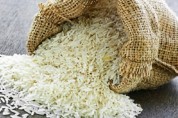 باز هم واردات برنج در فصل برداشت!