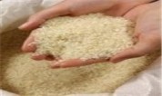 برنج ویتنامی در راه بازار ایران