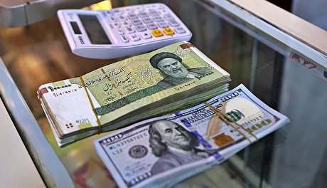 پیش بینی وضعیت بازار ارز در هفته دوم بهمن ماه+فیلم