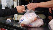 قیمت مرغ تا پایان سال افزایش پیدا نمی‌کند