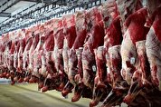 نقش دولت در افزایش مجدد قیمت گوشت