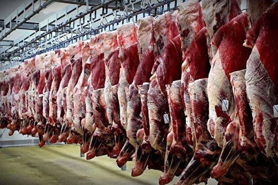 عدم تخصیص ارز باعث کاهش واردات گوشت شده است / دامداران برای سود بیشتر منتظر شب عید و ماه رمضان هستند