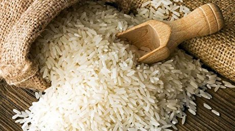 آمار دقیقی از واردات برنج نداریم