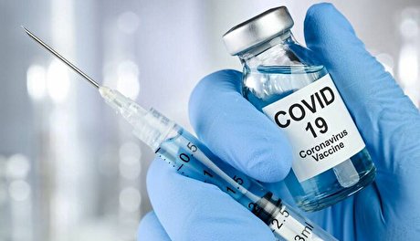 وزارت بهداشت واکسن کرونا را پیش خرید کرده است