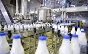 قیمت مصوب شیر خام، 6400 تومان شد/ آزادسازی صادرات شیرخشک و دام زنده