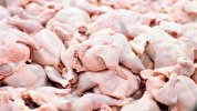 افزایش ۱۰۵ درصدی قیمت مرغ در سه ماهه نخست امسال