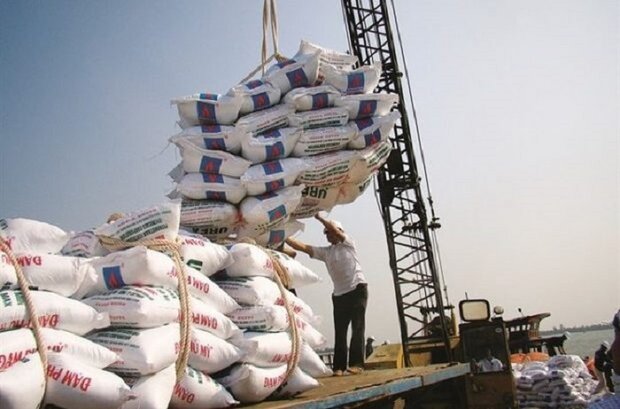 جزئیات افزایش قیمت برنج خارجی  طی یک سال‌ونیم گذشته+ نمودار