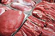 عرضه روزانه ۶۰ تن گوشت گرم وارداتی به بازار