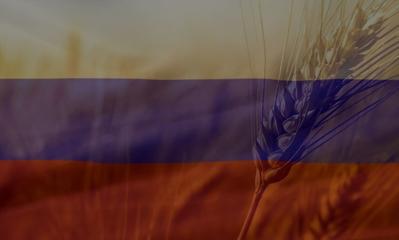صادرات گندم و غلات روسیه به ایران تشدید شد/ گسترش روابط بانکی تهران – مسکو زیر سایه تحریم‌های غرب