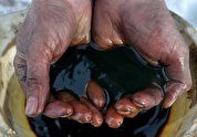 قیمت نفت کاهش یافت/ هر بشکه نفت برنت ۹۳ دلار و ۸۱ سنت