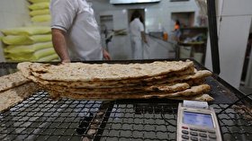 رئیس اتحادیه نانوایان سنتی، از کمبود «مایه خمیر» برای تولید نان خبر داد...