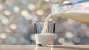 انجمن لبنی خواستار خرید شیرخام با نرخ جدید شد/ تقاضا برای افزایش قیمت لبنیات