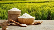 واردات برنج همچنان ممنوع است/ کشاورزان نگران نباشند