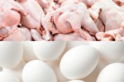 وضعیت بازار مرغ و تخم مرغ در ۲۶ تیرماه چگونه است؟