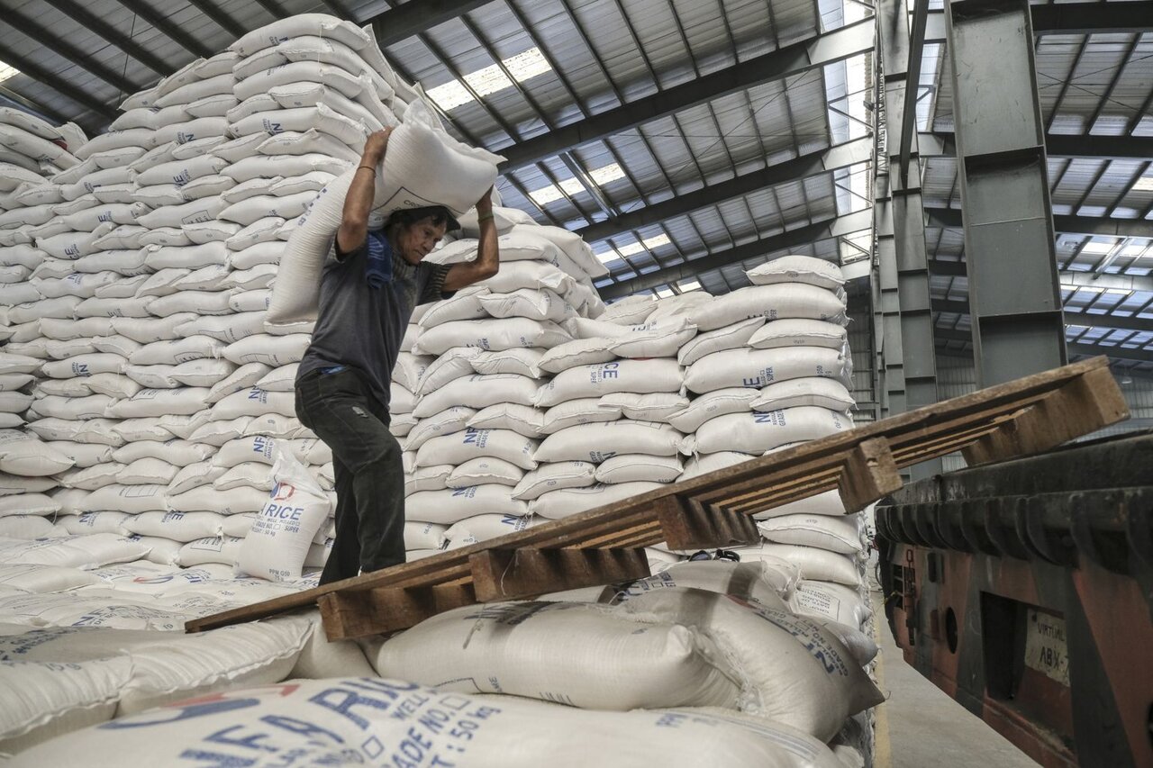چرا «واردات مشروط برنج» یک اشتباه سیاست‌گذاری است؟