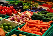 افزایش ۱۹ درصدی صادرات محصولات کشاورزی در ۵ ماهه ۱۴۰۲/ ۹۴ درصد مواد غذایی ایرانی به همسایگان صادر شد