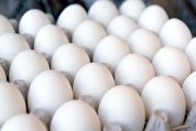 تعیین قیمت جدید برای تخم مرغ/ تولیدکنندگان خواستار دریافت یارانه شدند