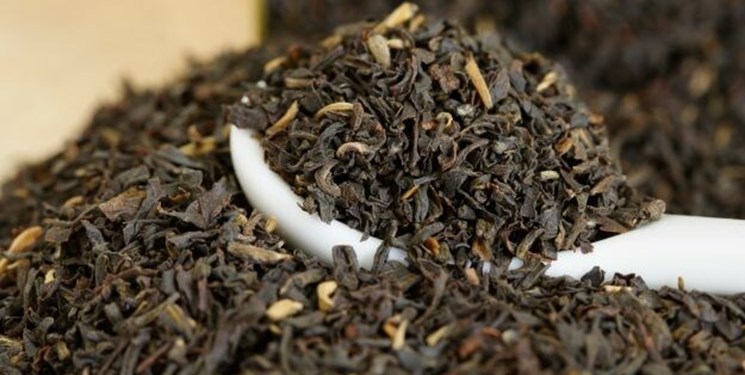 هشدار فعالان صنعت چای درباره واردات مشروط/ پدیده مجوز فروشی و امضا‌های طلایی ظهور می‌کند؟
