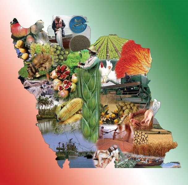 ۴۶ میلیون نفر به تعداد گرسنگان جهان اضافه شد/ رشد ۴۹ درصدی ارزش افزوده کشاورزی ایران